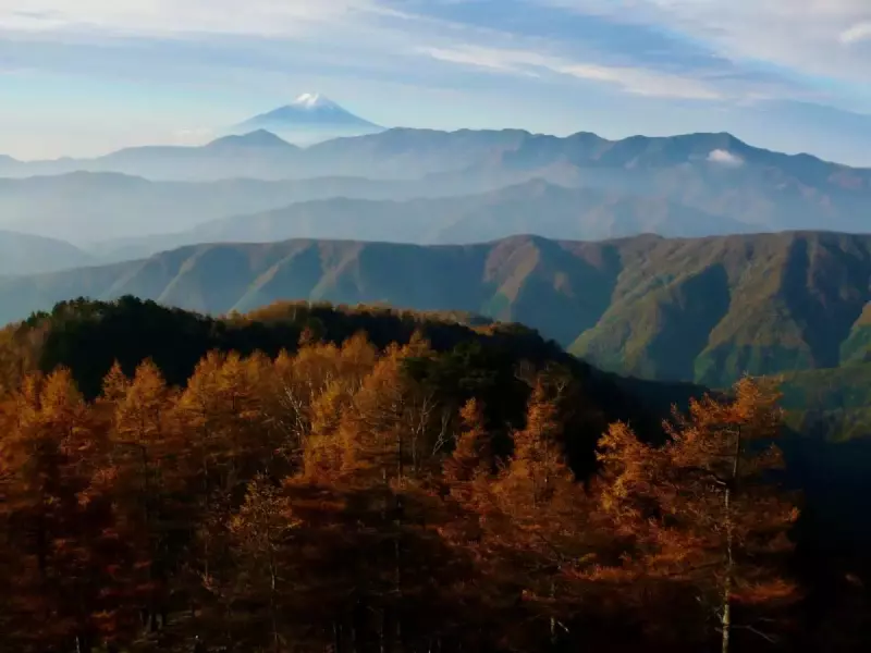 3月 日本百名山 登山 おすすめ 眺望