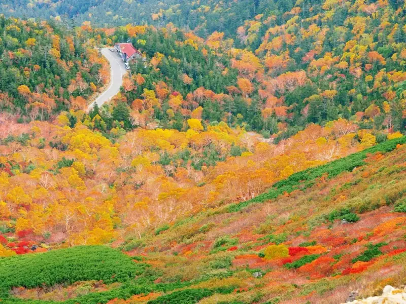 乗鞍岳 登山 紅葉 位ヶ原山荘