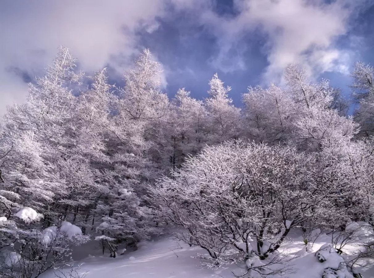 青野恭典『風のことづて』