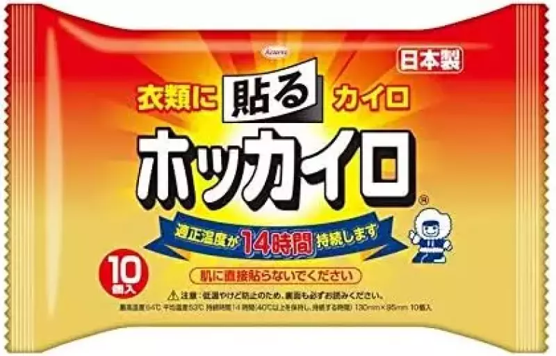 興和「ホッカイロ 貼るタイプ」