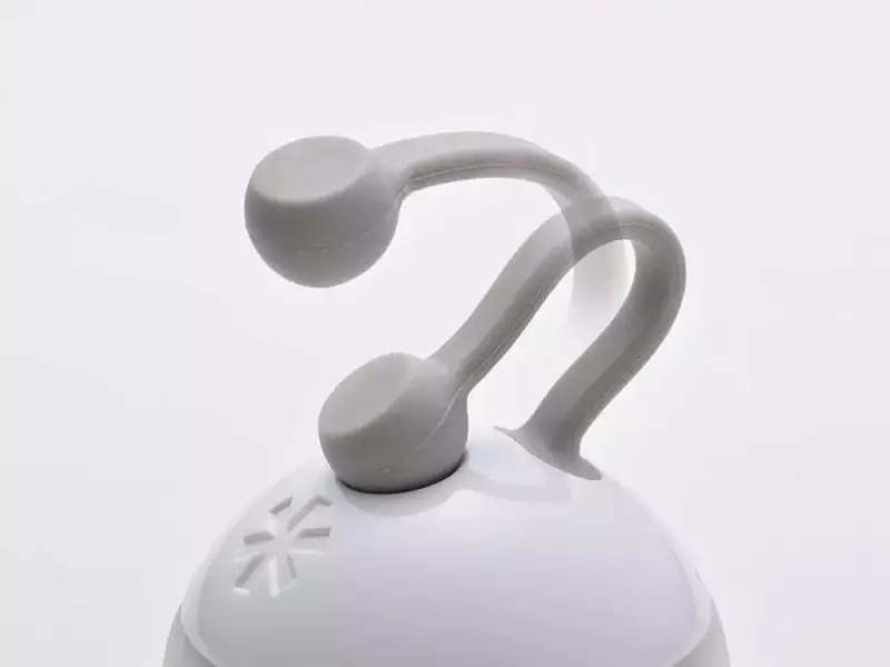 スノーピーク たねほおずきのマグネット式