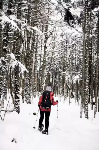 茶臼・縞枯のトラバース道