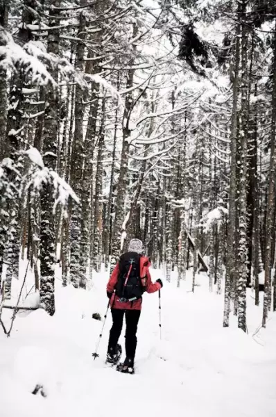 茶臼・縞枯のトラバース道