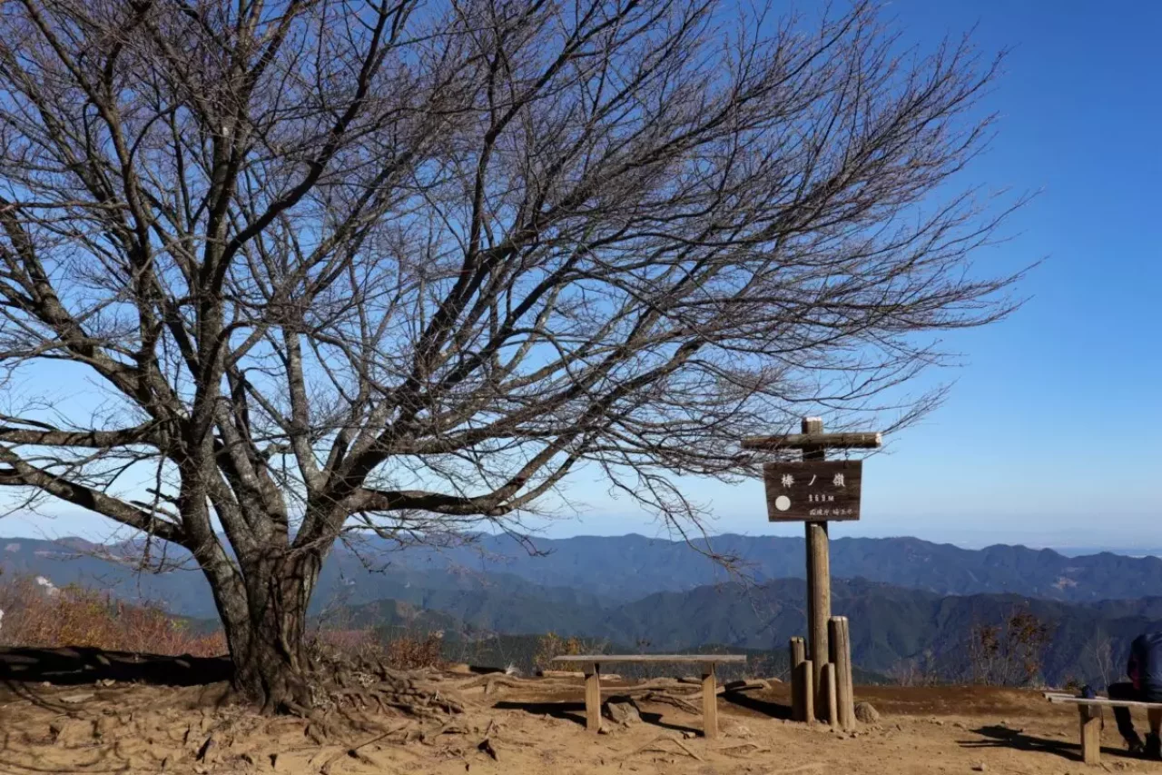 低山 関東 おすすめ 登山 山頂