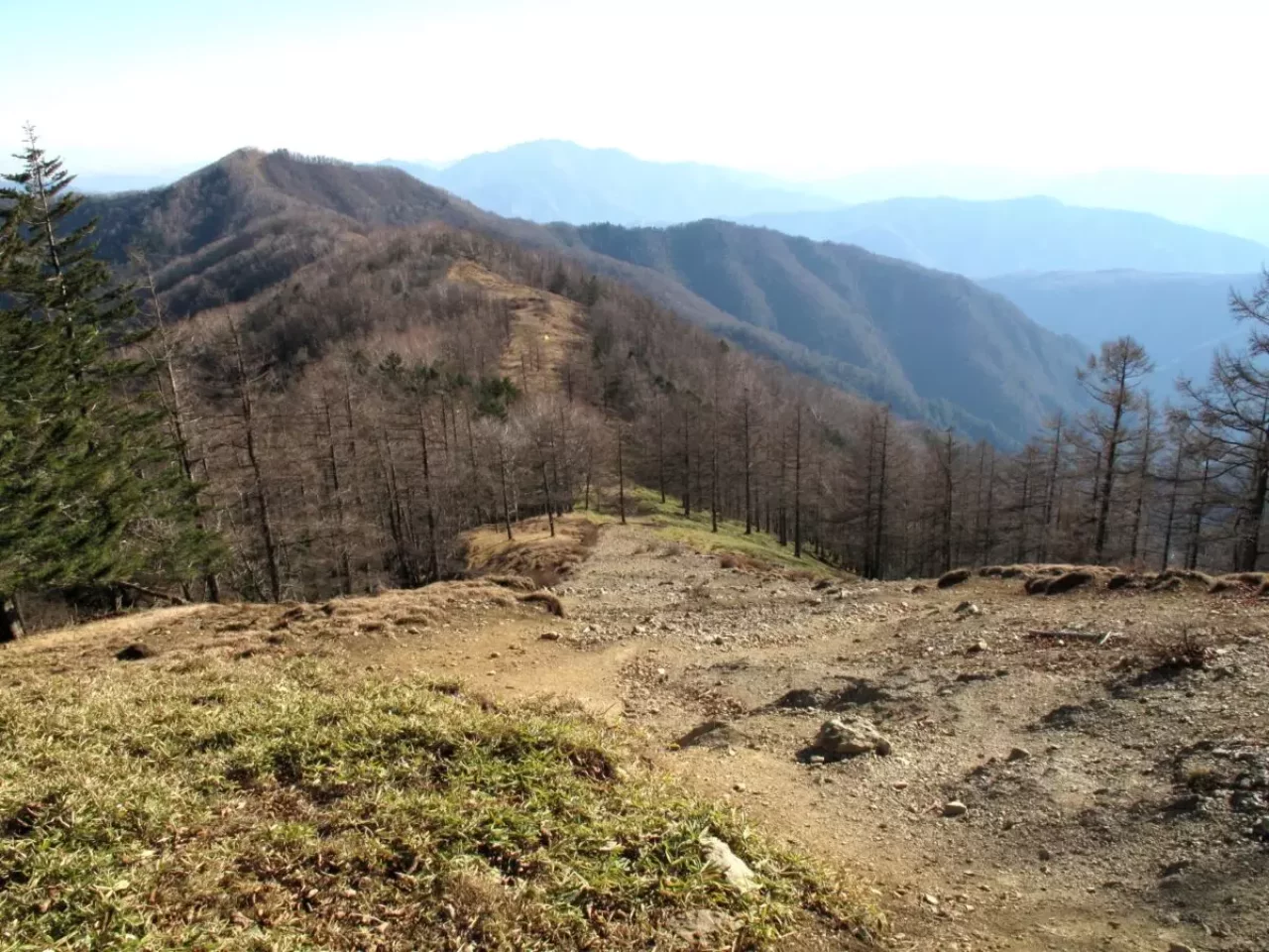 奥秩父 日本百名山 雲取山 登山道