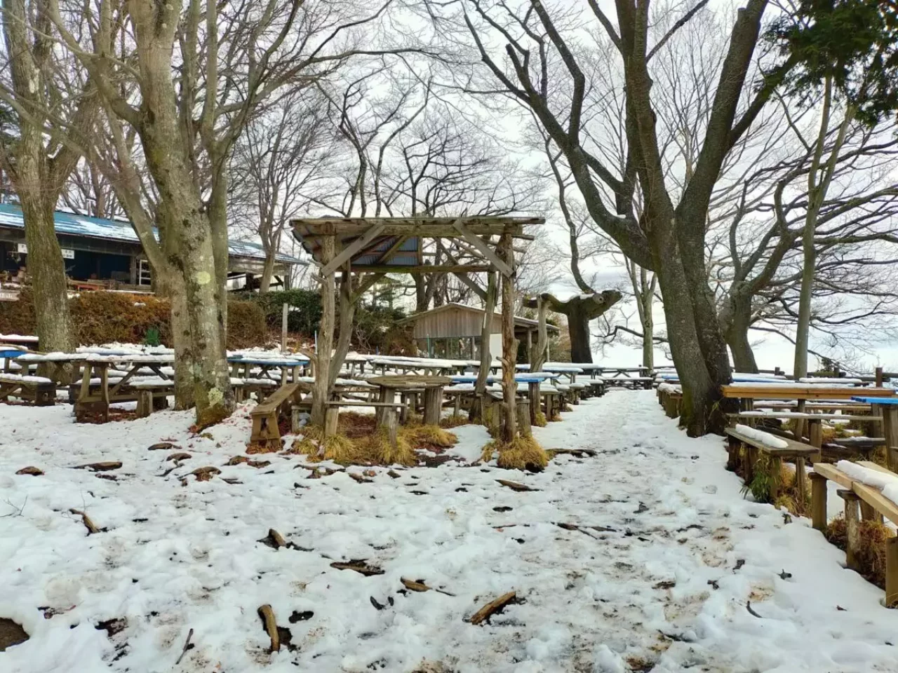 景信山 登山 茶屋