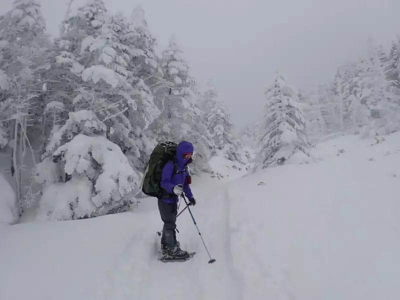 雪山用グローブ 実際の活用イメージ