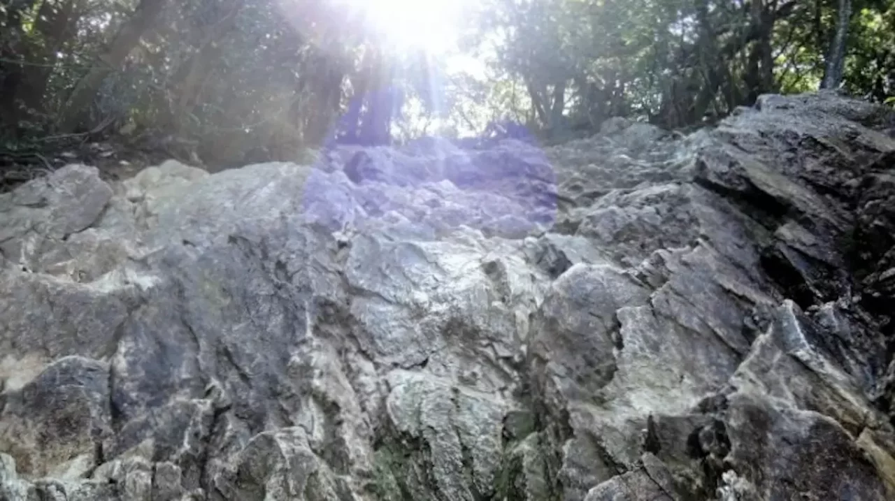 金華山 登山 馬の背登山道の岩場