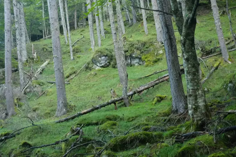 日本の自然を知る