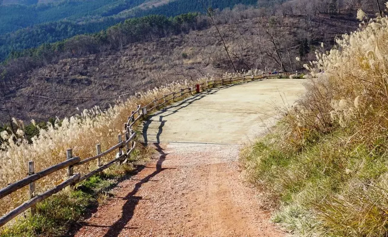 ほったらかしキャンプ場