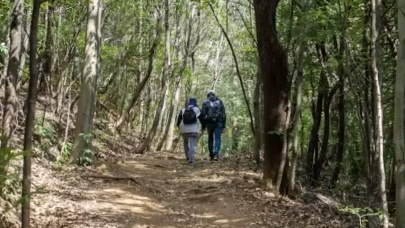 三浦アルプス 登山 登山道