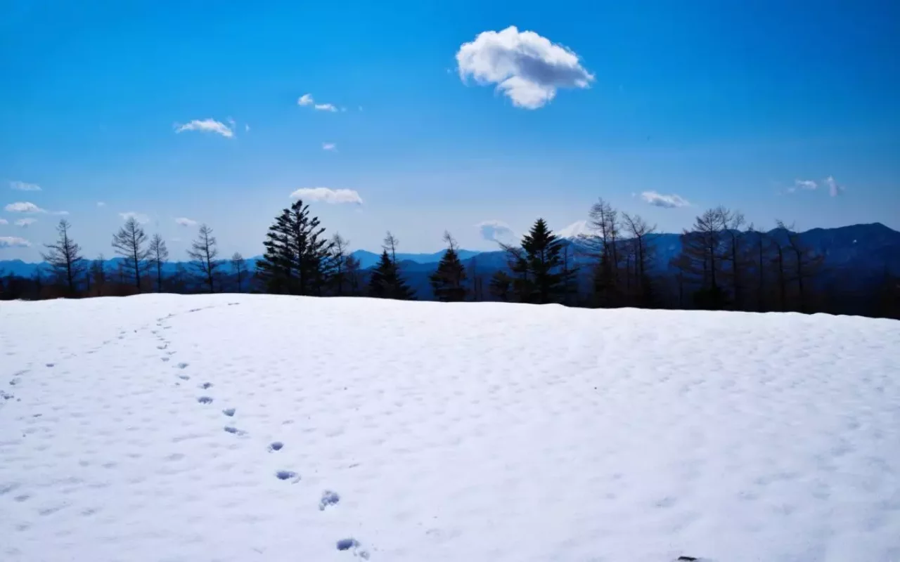 雲取山 登山 冬 雪