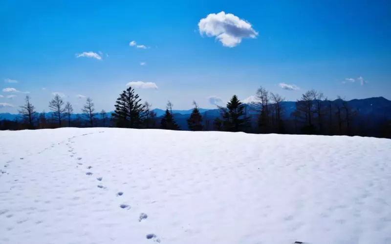 雲取山 登山 冬 雪