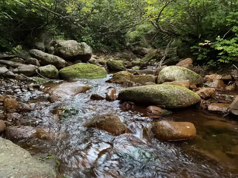 斜里岳 沢