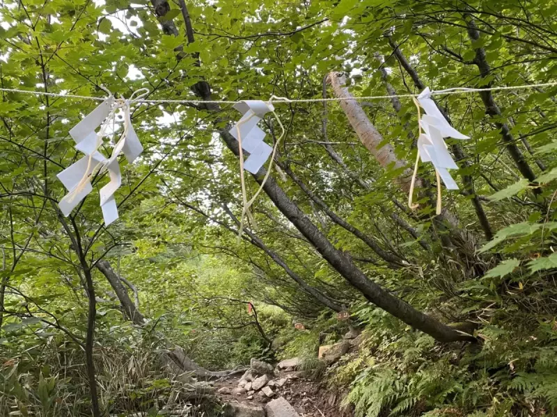 斜里岳 登山道