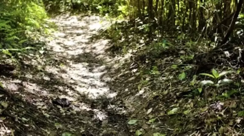 三浦アルプス 登山 冬がベストシーズン