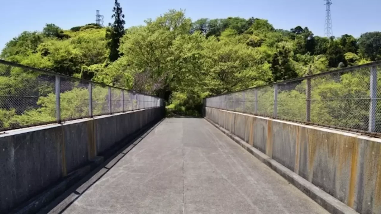 三浦アルプス 登山 乳頭山登山口