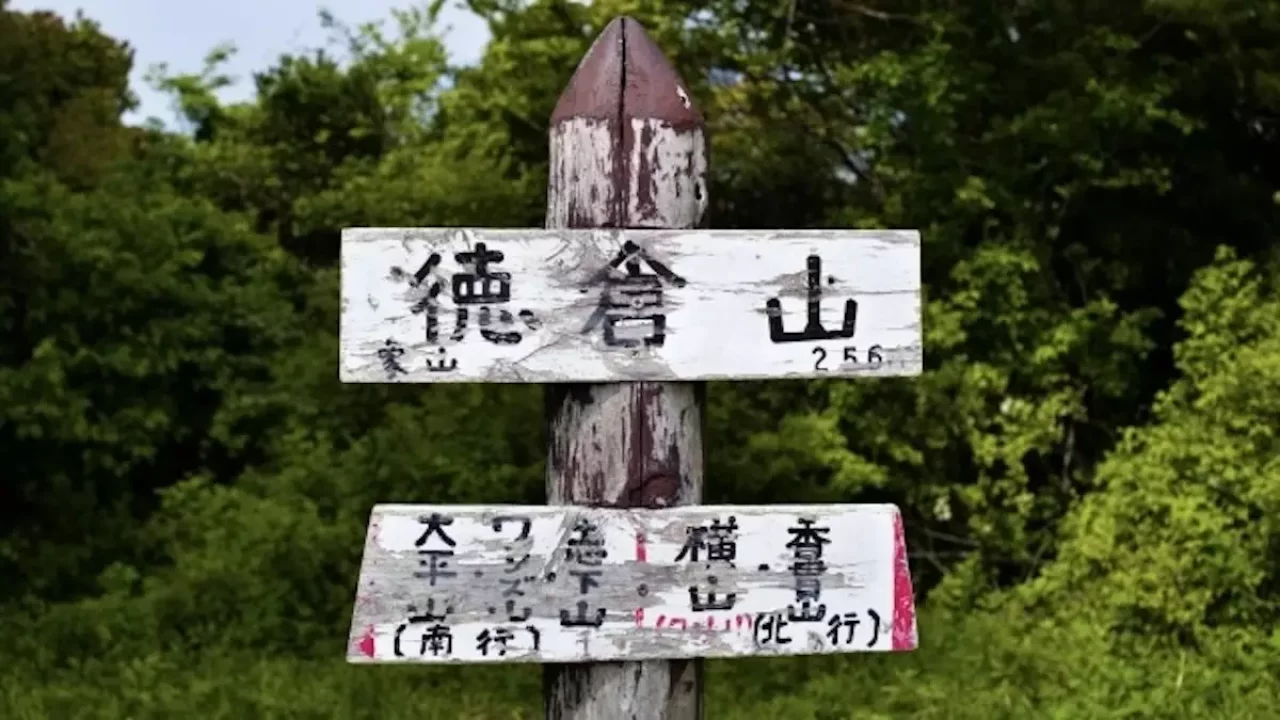 沼津アルプス 徳倉山山頂