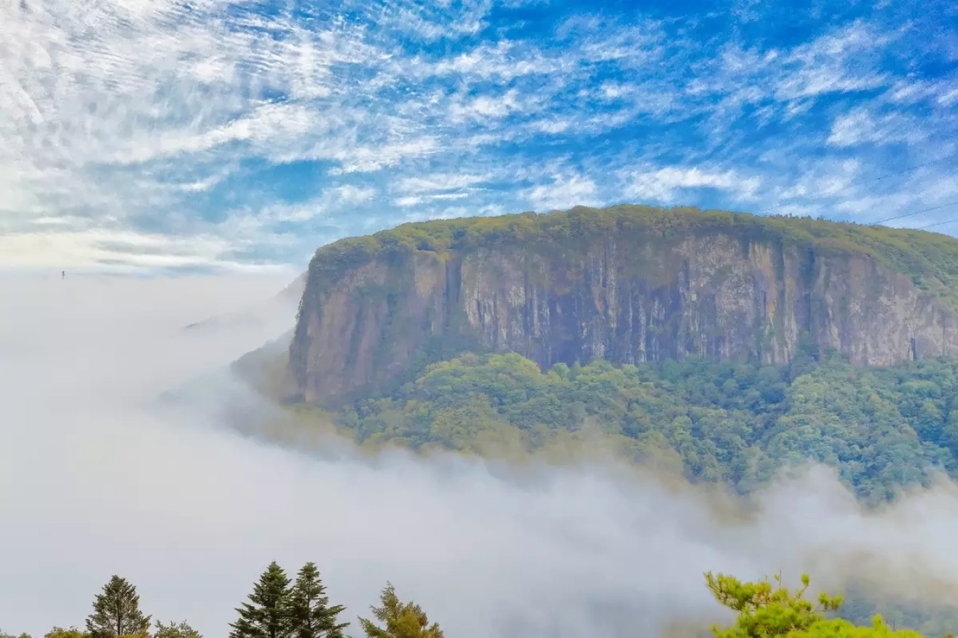 荒船山の難易度別登山コース【日本のテーブルマウンテンに登ろう!】
