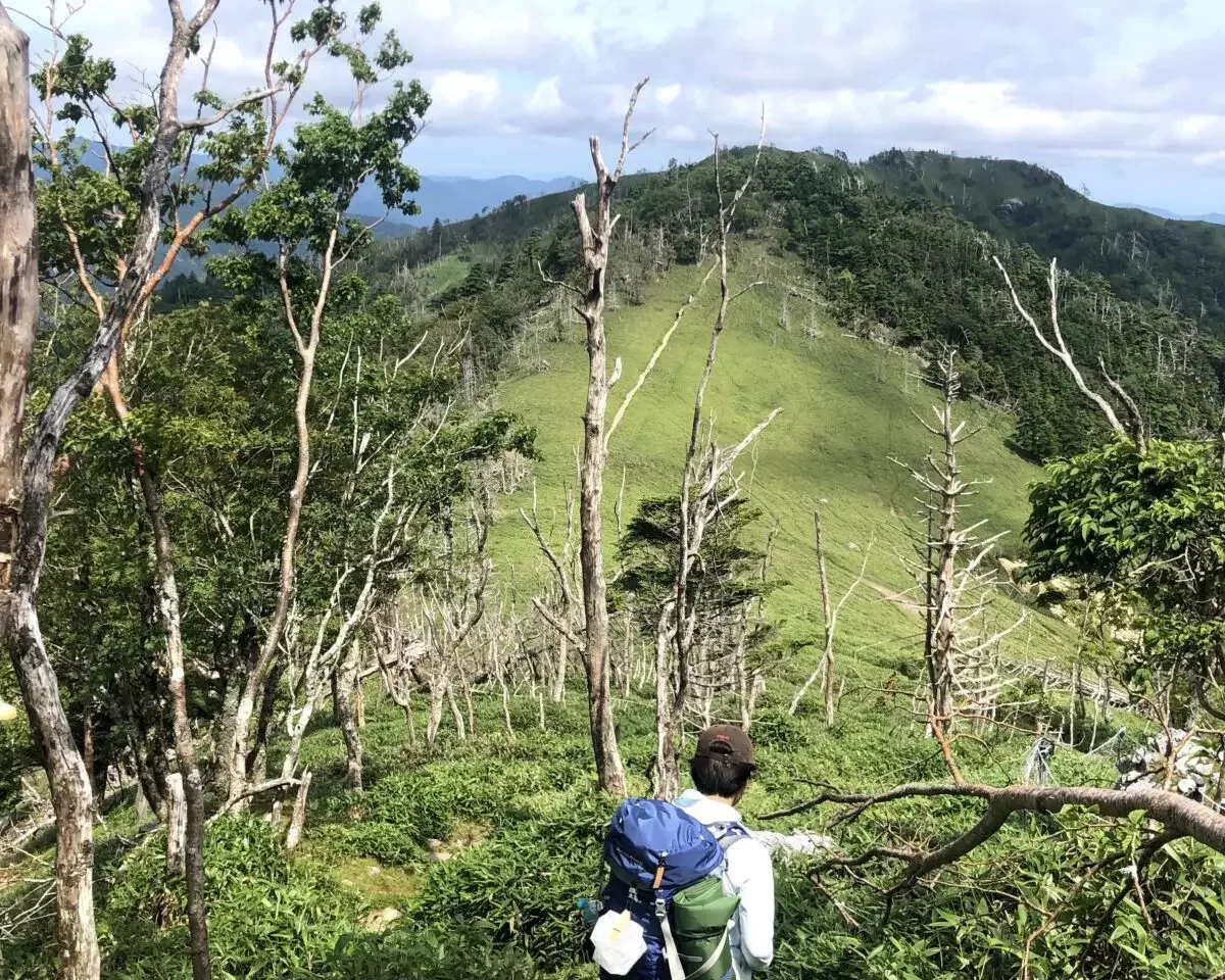 一の森周辺の景色