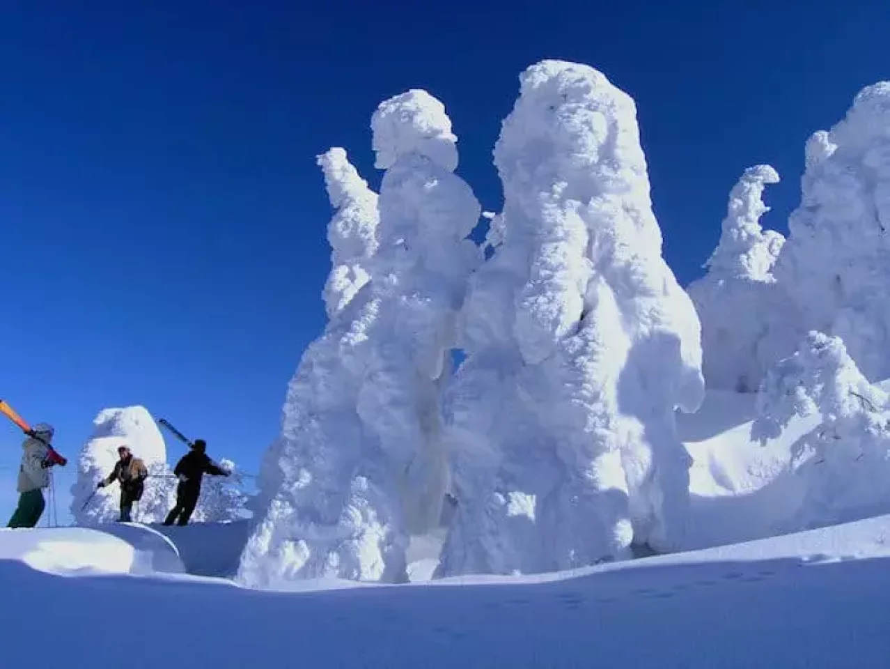 阿仁ゴンドラで行く 森吉山の樹氷鑑賞