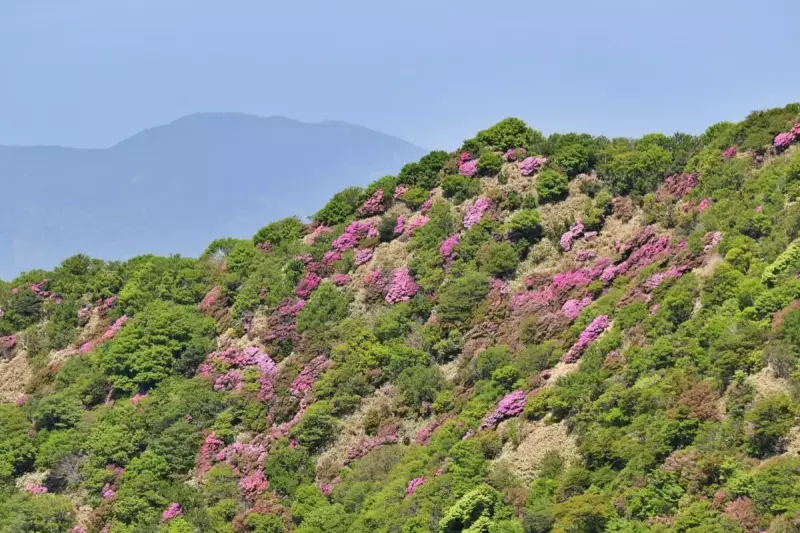 春山 登山 おすすめ 雲仙岳