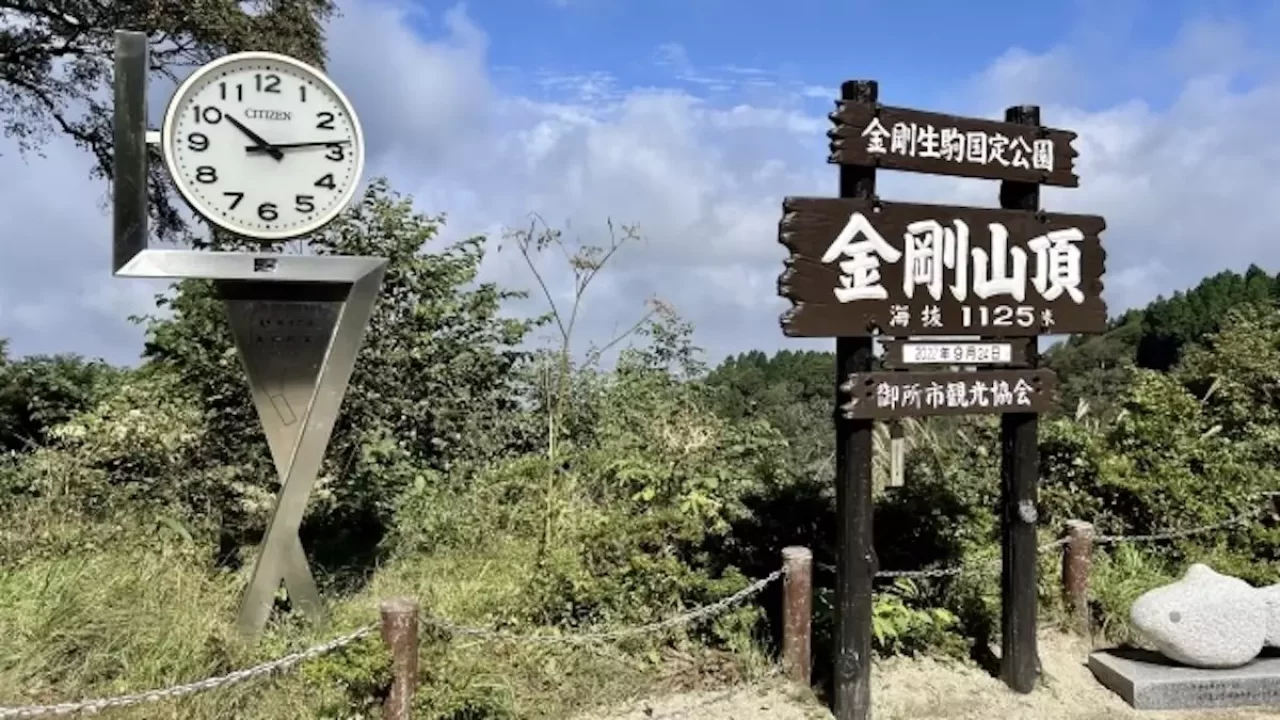 関西 登山 金剛山