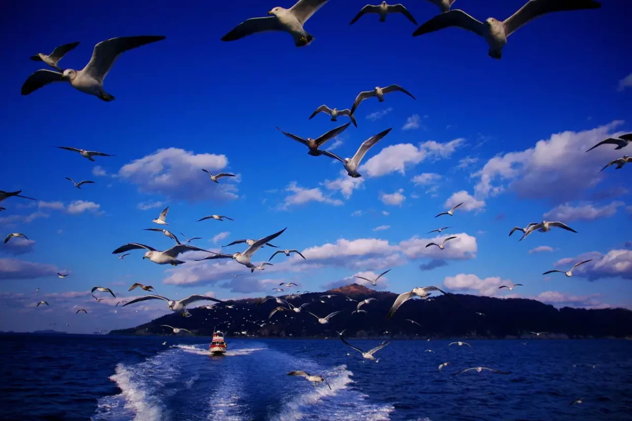 海の只中の名低山、金華山