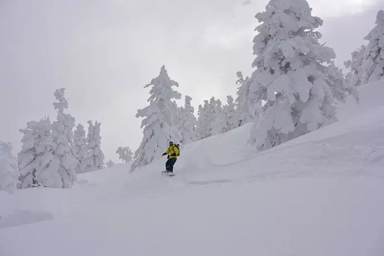 八甲田山荘からの山便り