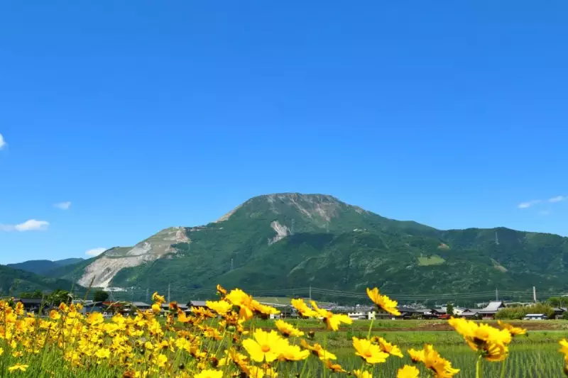 4月 春山 登山 日本百名山 おすすめ 伊吹山