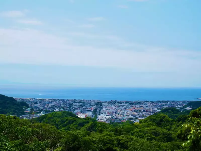 大平山 登山 眺望