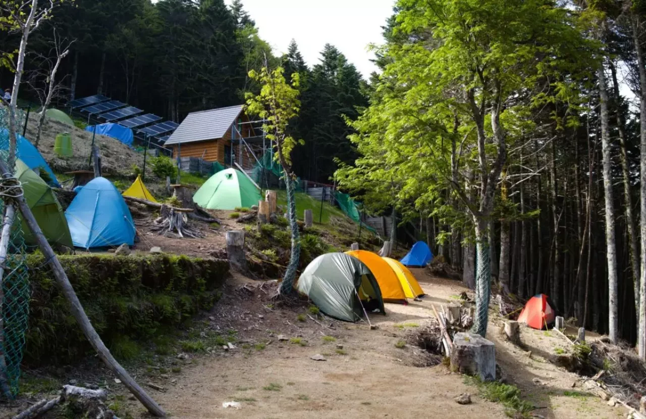 山頂 登山 山小屋 テント場 おすすめ 甲武信小屋