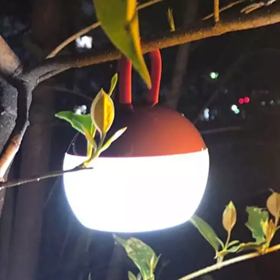 スノーピーク たねほおずき