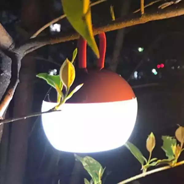 スノーピーク たねほおずき