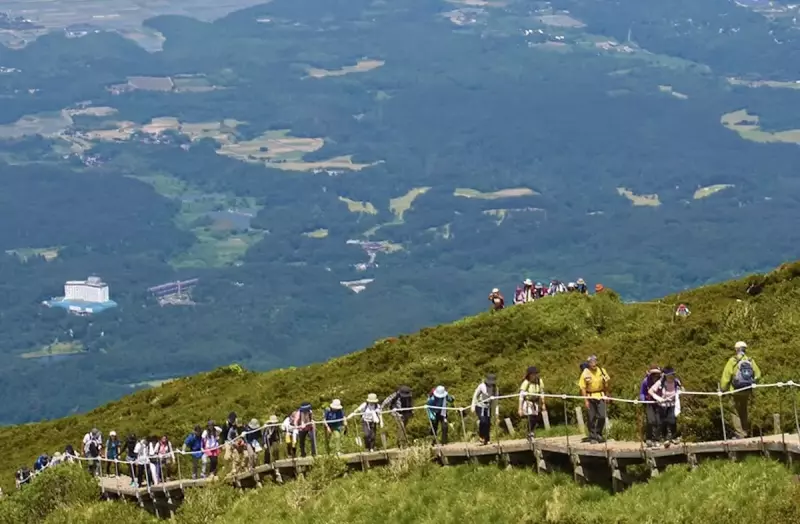 大山の木道