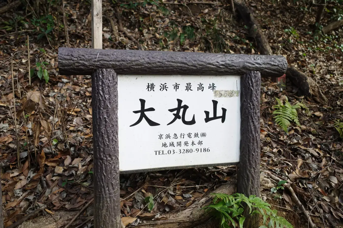 【初心者におすすめ】横浜市でいちばん高い山!大丸山を含む手頃な日帰りハイキングコースの難易度別ルート紹介