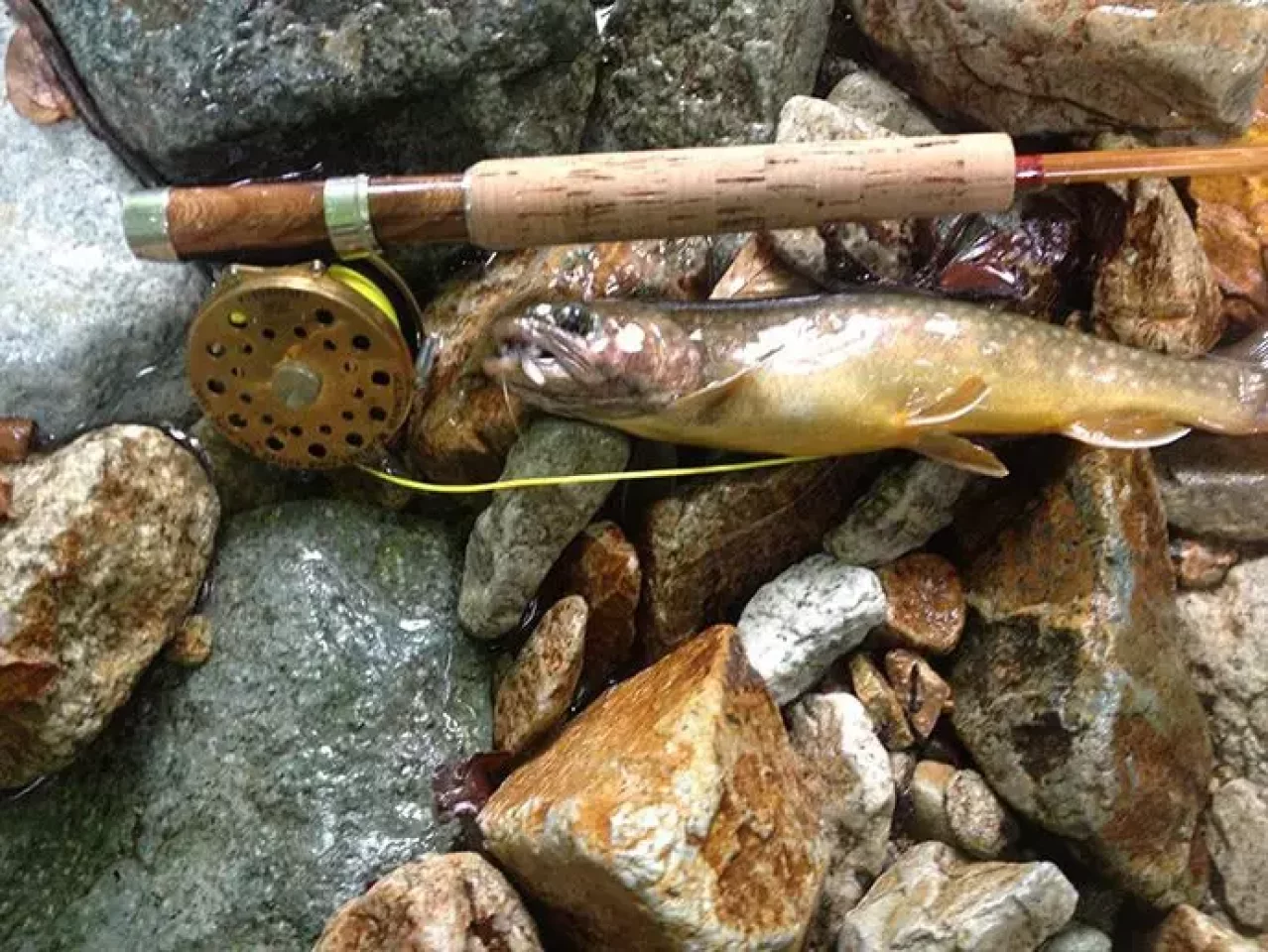 バンブーロッドにあわせる真鍮のリール