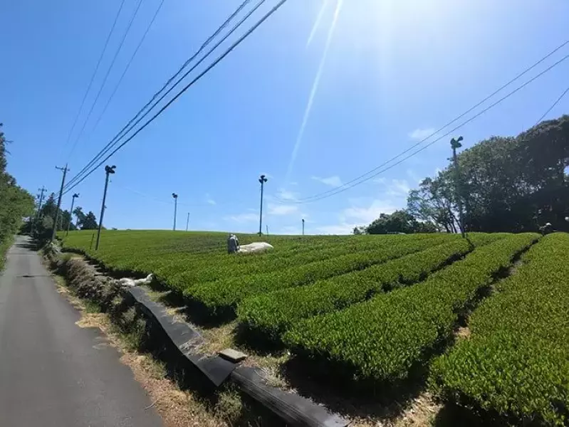東海道五十三次 小夜の中山