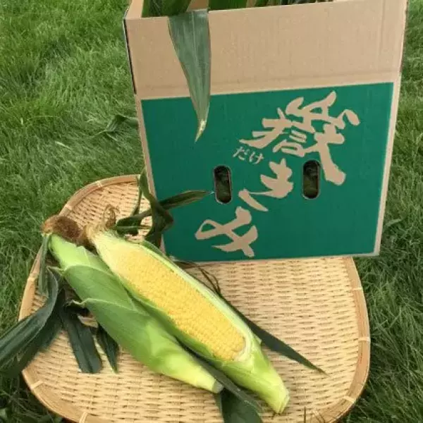 青森県岩木地区の特産品「嶽きみ」
岩木山 登山