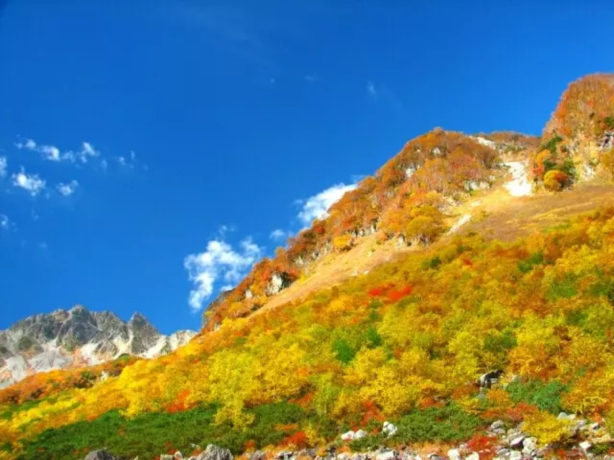 全国の紅葉スポットと、国内初となる2000の山について2019年第一回紅葉・黄葉見頃予想発表