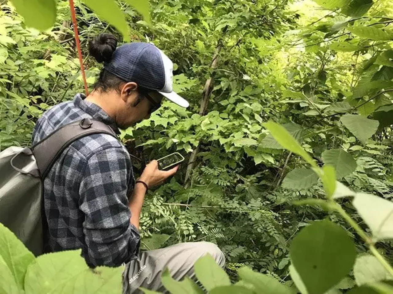 TORQUEG03で撮影する水中写真