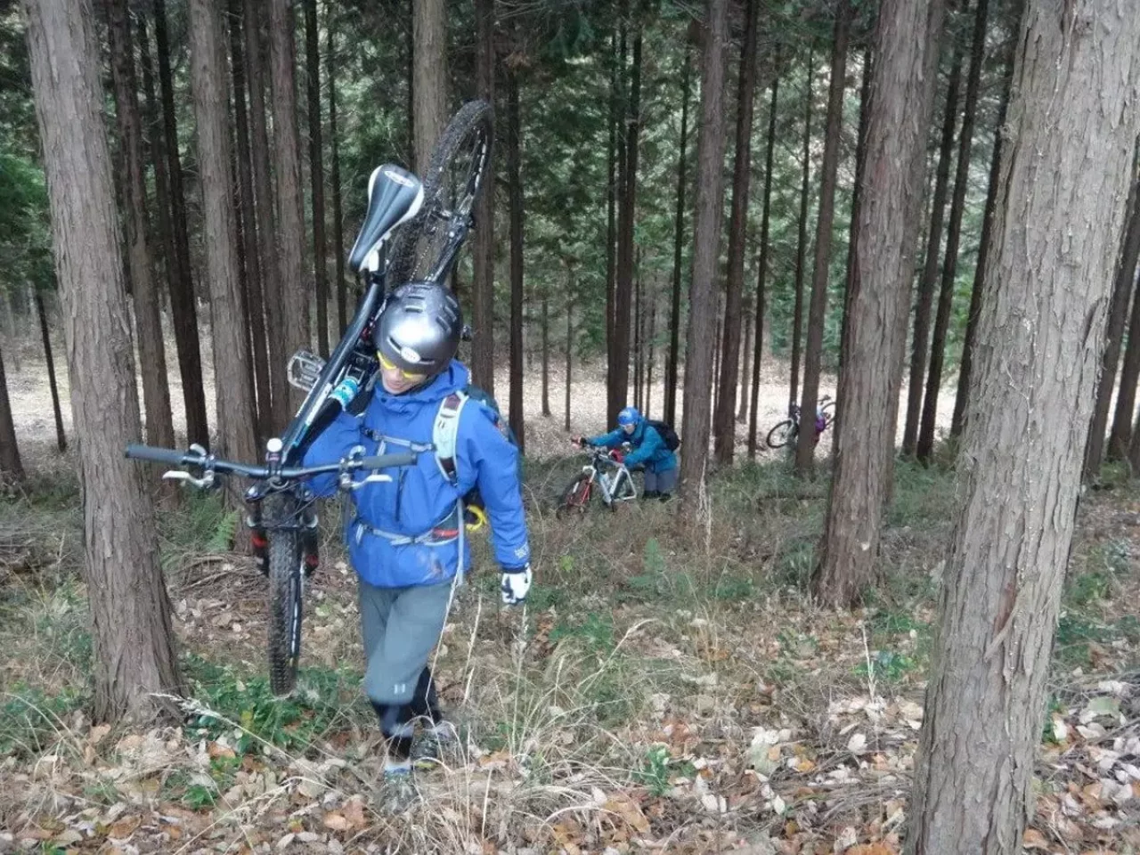 マウンテンバイク