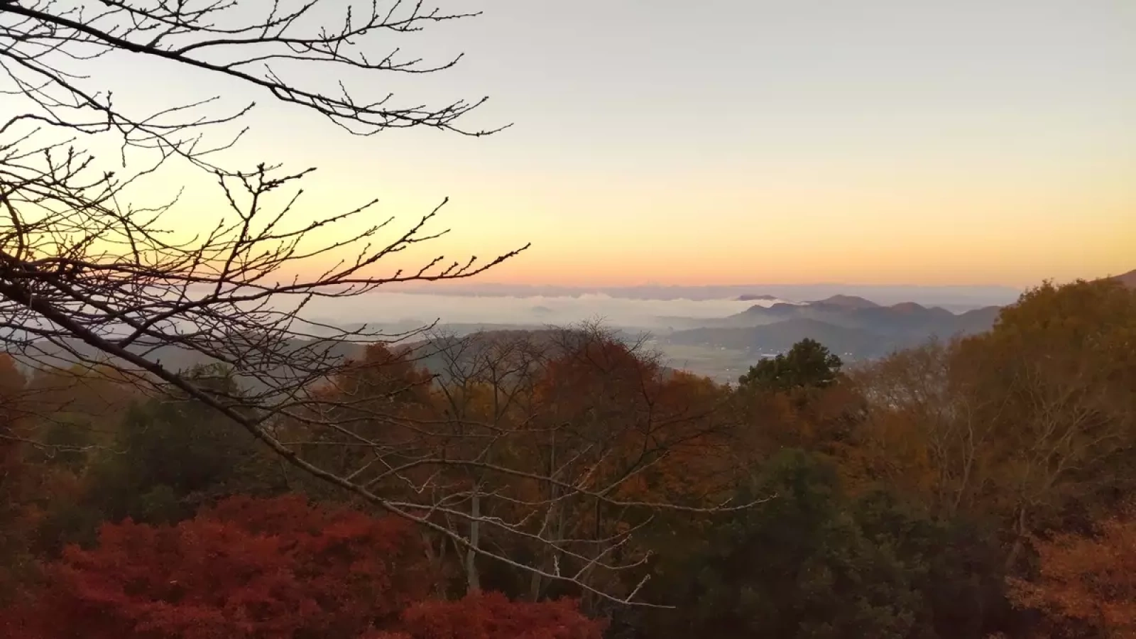 歴史とグルメを満喫する太平山【初心者にもおすすめな難易度別コース3選】