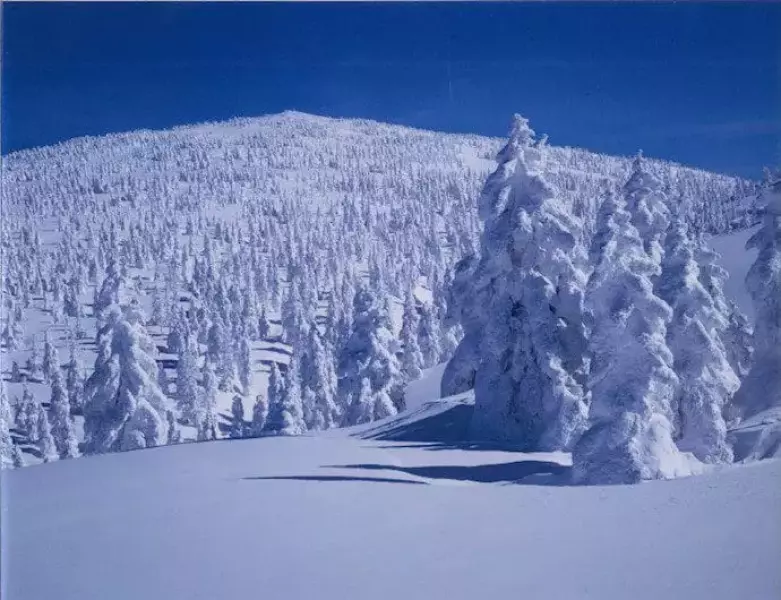 阿仁ゴンドラで行く 森吉山の樹氷鑑賞