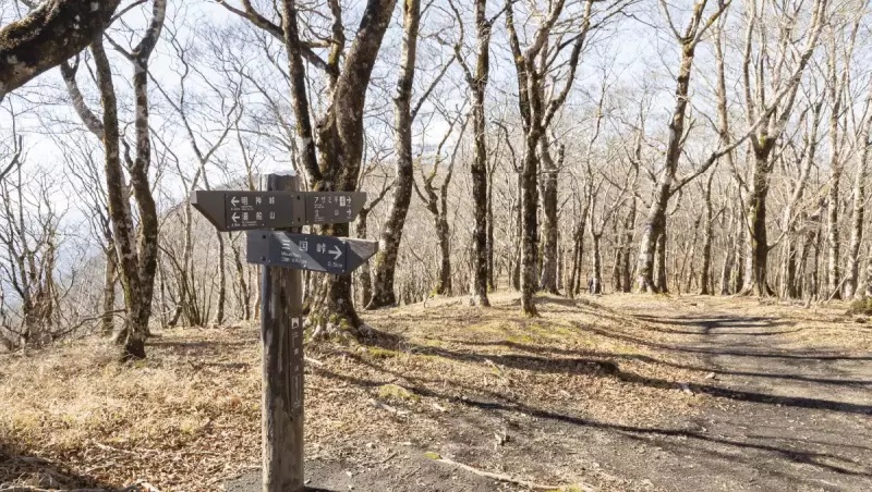 【日帰り登山】初心者にもおすすめ!神奈川・静岡・山梨の3県にまたがる三国山の難易度別ルート紹介|ルート紹介から探す|登山・トレラン・山スキーマガジン「山旅旅」