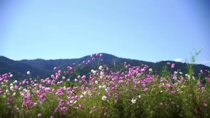 【登山初心者向き】愛宕山から情緒あふれる古都の眺めを満喫する難易度別ルートを紹介!|ルート紹介から探す|登山・トレラン・山スキーマガジン「山旅旅」