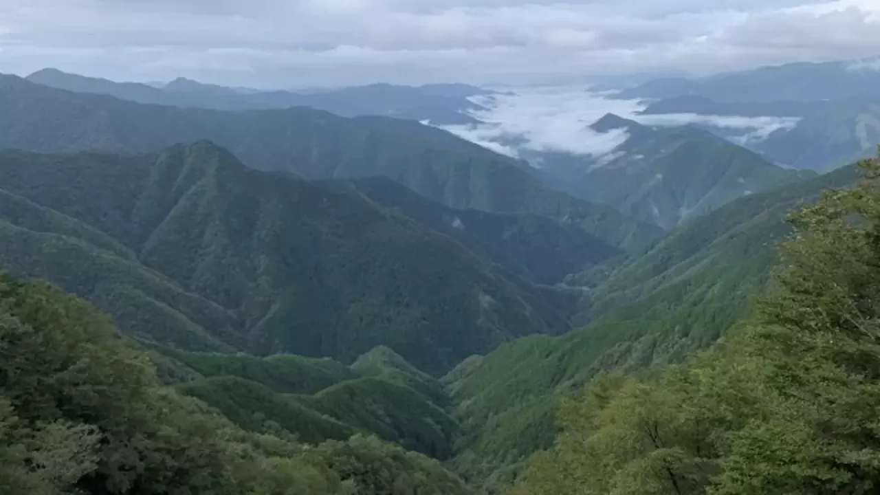 関西 登山 大台ヶ原山