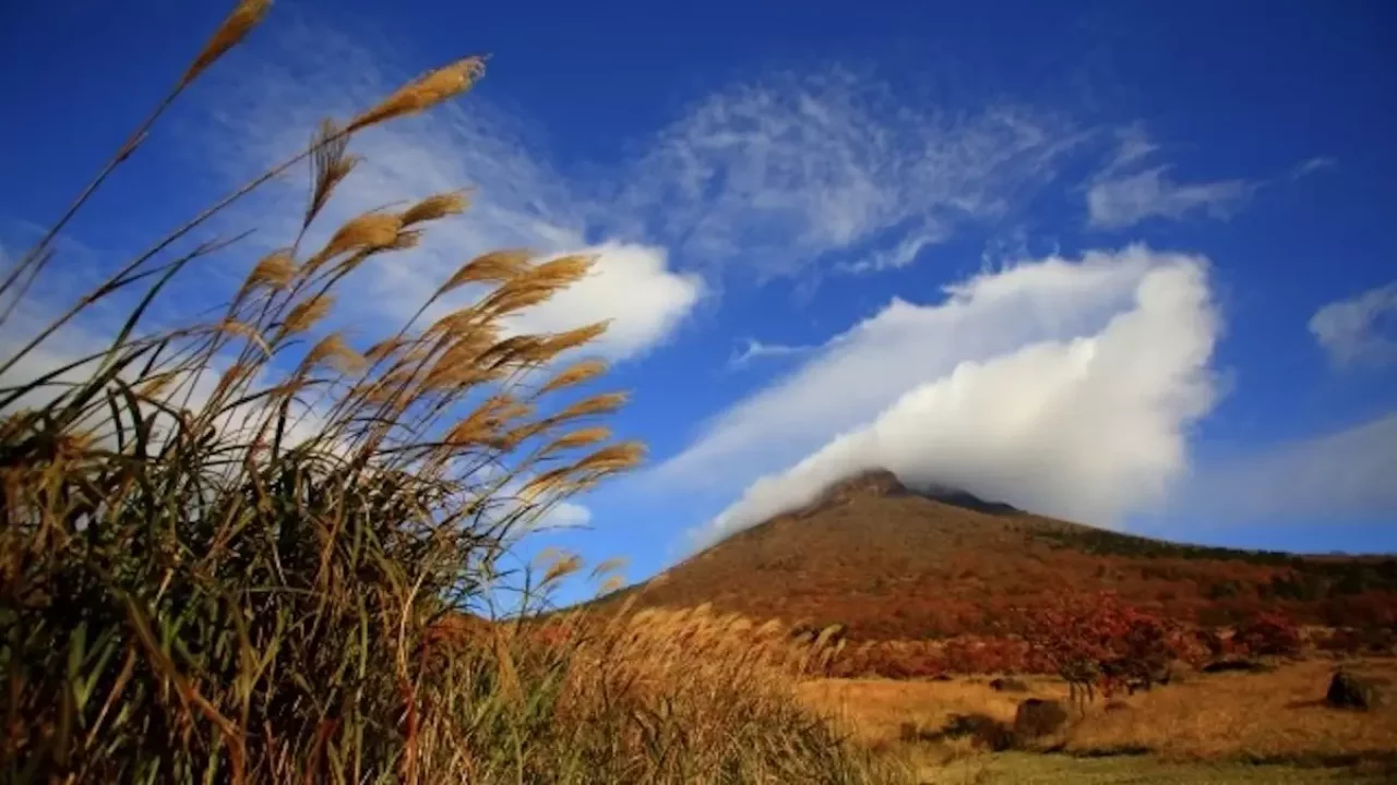 由布岳登山由布岳の紅葉