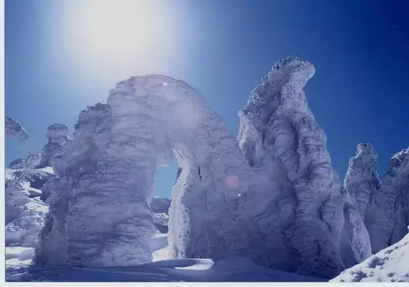 阿仁ゴンドラで行く 森吉山の樹氷鑑賞