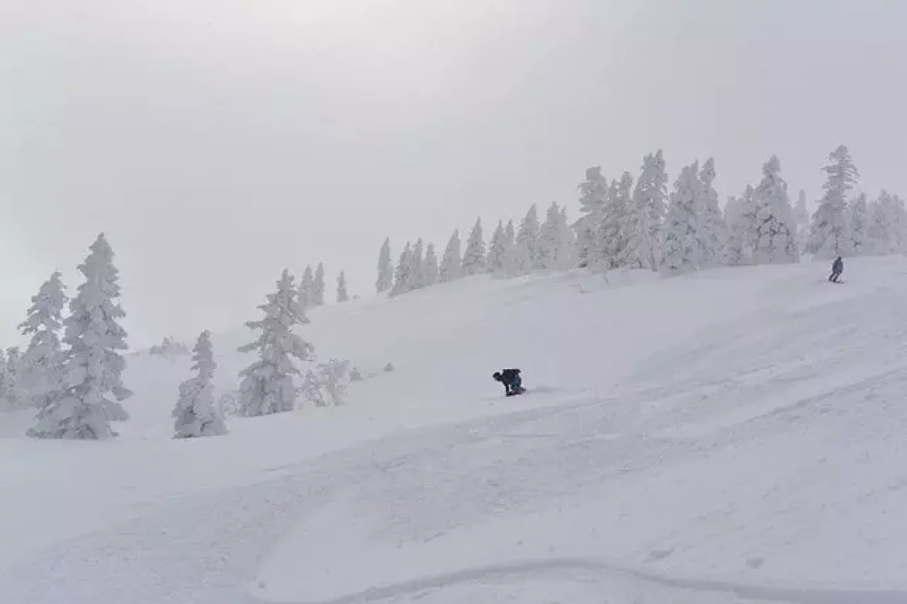 八甲田山荘からの山便り